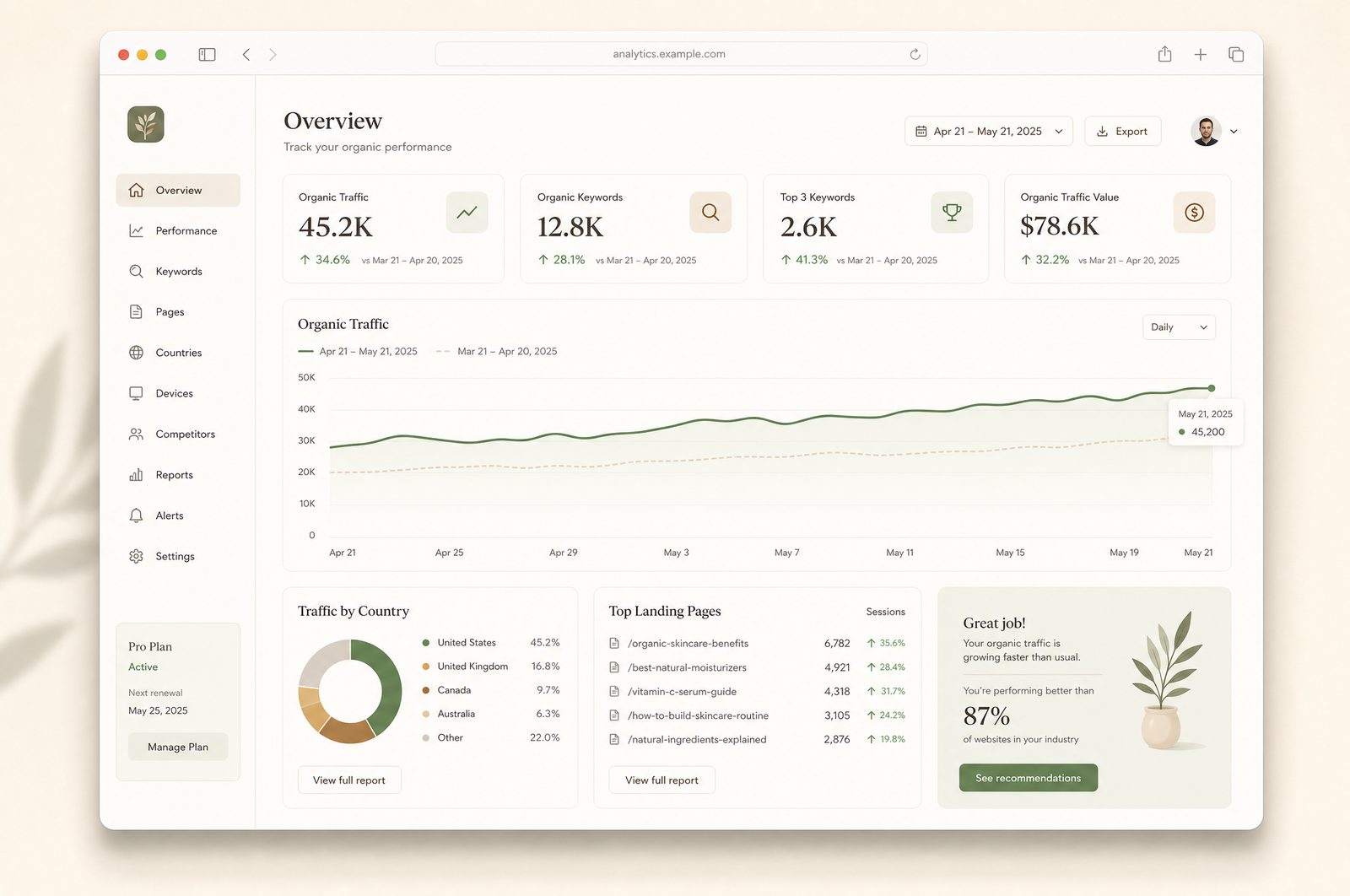 SEO-Ergebnis — Traffic-Wachstum